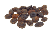 Saw Palmetto